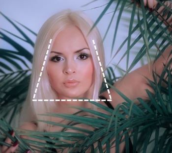 Лицо треугольной формы