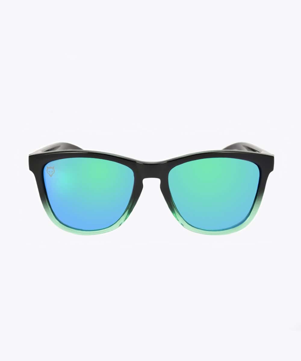 VOLK Sunglasses