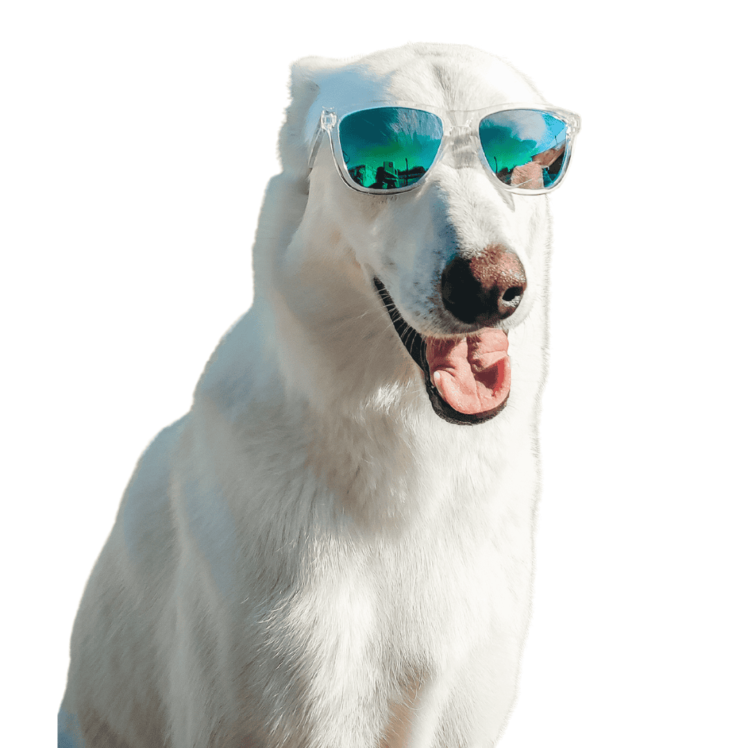 Очки прозрачные с зелеными линзами